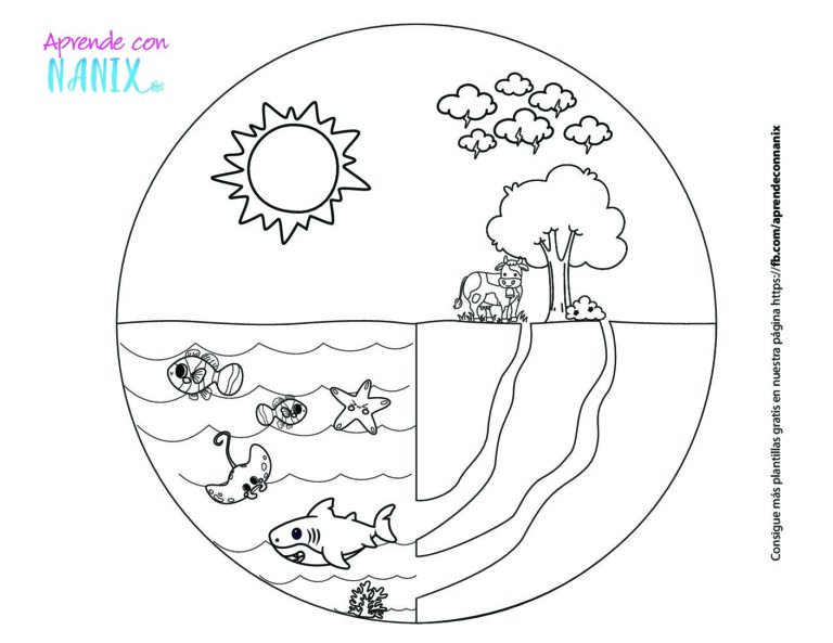 Plantilla del Ciclo del Agua