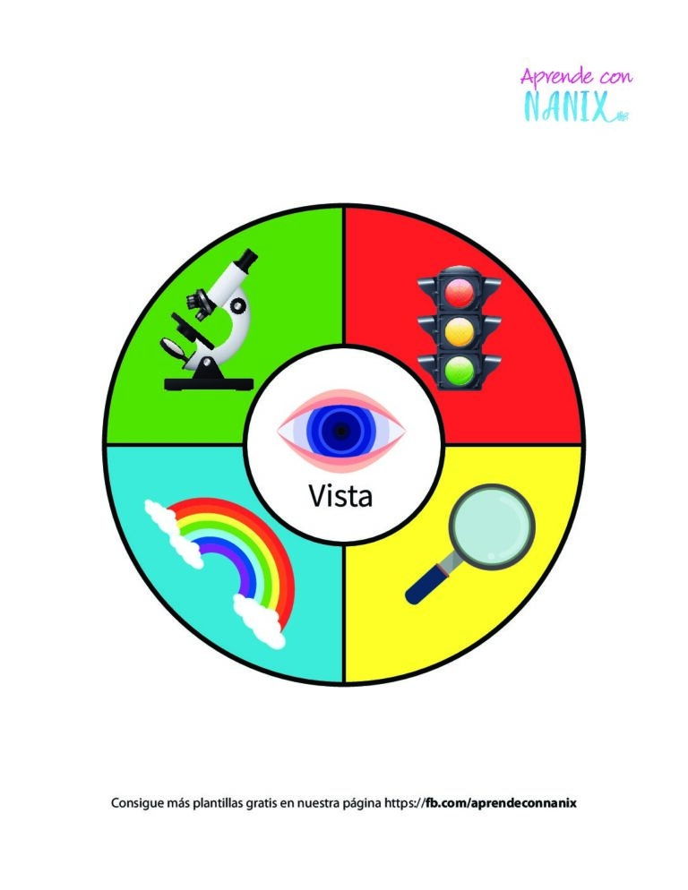 Plantilla De Los Sentidos